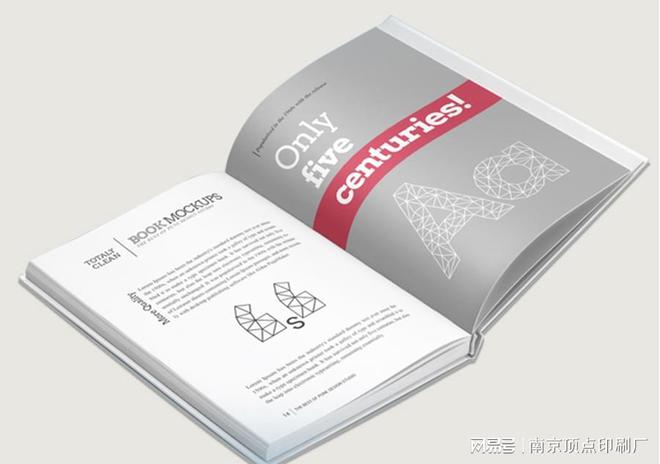 南京企业宣传册设计-南京品牌形象画册制作印刷(图2)