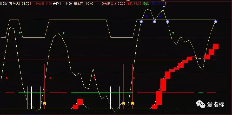 源码指标：跟庄进出、波段高底点参考抄底逃顶参考(图4)