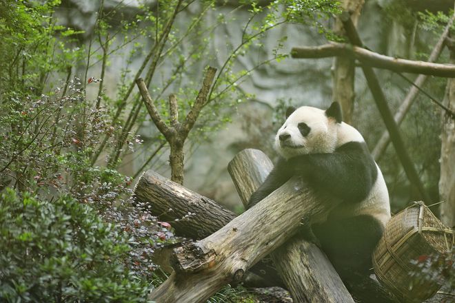 新时代十年中国的十大奇迹建筑工程告诉世界什么叫大国崛起！(图13)