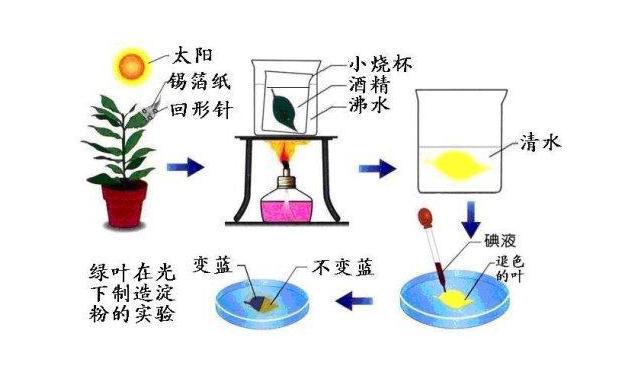 设计的目的就是为了满足人们的需求(图2)