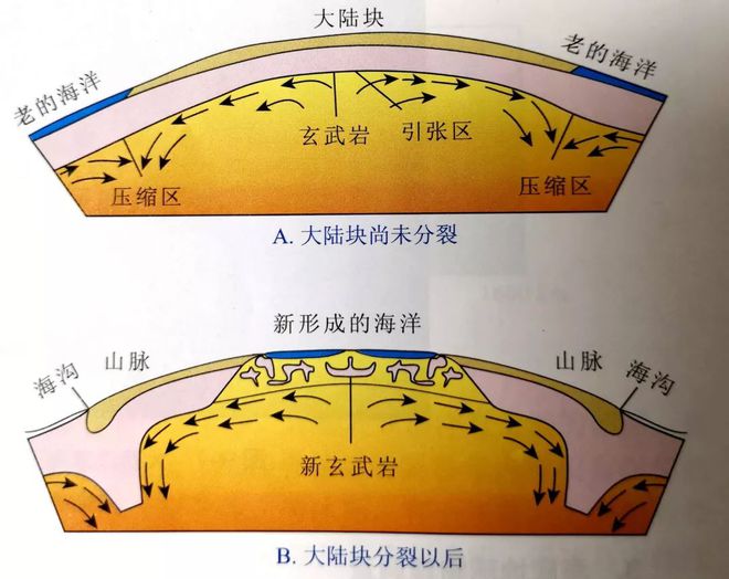 高中地理课上的地球板块漂移你还记得多少？(图2)