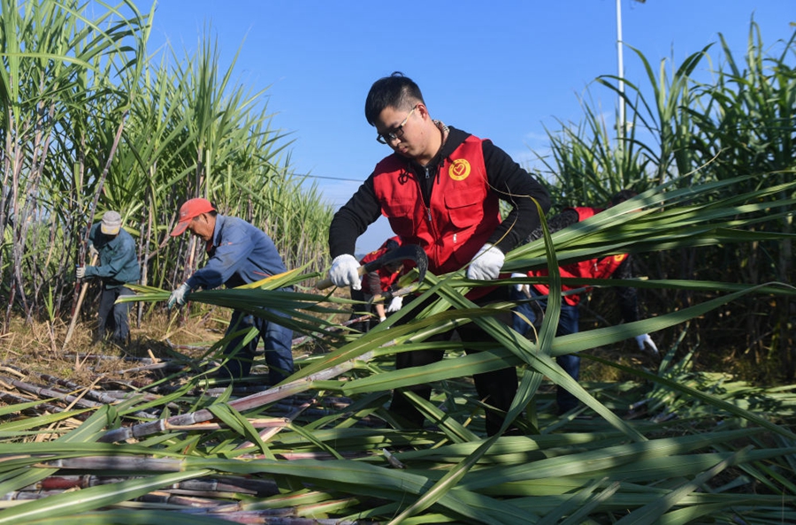 钟华论：将调查研究发扬光大(图9)