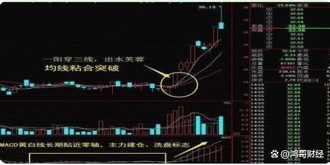 中国股市：换手率大于10%意味着什么？献给2亿股民值得散户细品(图4)